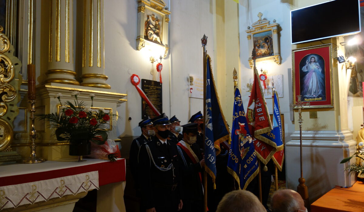 Poczty sztandarowe podczas uroczystości upamiętniającej ks. Władysława Plewika w Krzpczowie, 11.11.2021